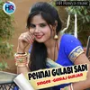 Pahanai  Gulabi Sadi