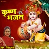 About Krishna Bhajan HINDI ( Bake Bihari Kunj Bihari ) Song