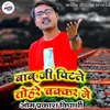 About Babu Ji Pitale Tohare Ckkar Me Bhojpuri Song Song