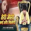 About Tare Jaesi Koi Or Mil Jayegi HINDI Song