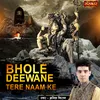 About Bhole Deewane Tere Naam Ke Song