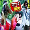 About Pyar Me Pagal Bhojpuri Song