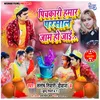About Pichkari Hamar Parsal Jam Ho Jayi Song