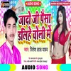 Yadav Ji Paisa Dalihe Choli Me Bhojpuri Song