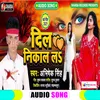 About Dil Nikal La Bhojpuri Song Song