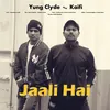 About Jaali Hai Song