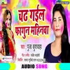 About Chadh Gail Fagun Mahinawa Bhojpuri Holi Song Song