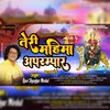 About Teri Mahima Aparampar Bhakti song Song