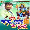 About Pite Hain Gaja Parvat Ke Raja Bhojpuri Song