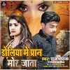 About Doliya Me Paran Mor Jata Bhojpuri Song Song