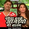 About Ppaiya Banke Aa Jaiyo Mere Balam Hindi Song