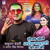 About Holi Khele Aiha Sasurari Jijaji Khotha Song