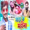 About Jara Ke Mahina bhojpuri Song