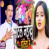 About Satal Naikhu Holi Mein Song