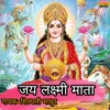 About Jai Laxmi Mata Maiya Jai Laxmi Mata Song