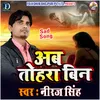 About Ab Tohara Bin Bhojpuri Song