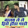 About Balam Le Le Hiro Haunda Gadi Hindi Song