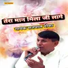 About Tera Maan Mela Ji Lage Song