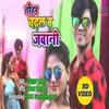 About Tohar Chadal Ba Jawani Bhojpuri Song Song