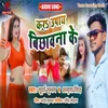 About Kar Upay Bichhawan Ke BHOJPURI Song