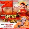 About Bhagwa Meri Jaan Hindi Song