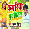 About Kamriya Tur Dihala BHOJPURI Song