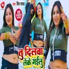 Tu Dilwa Leke Gailu Bhojpuri Song