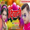 About Deewane Bhojpuri Song Song