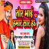 Tor Bhai Hamar Sar Ha Bhojpuri Song