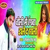 About Choli Me Rangwa Dale Da Sali Holi Song Song