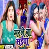 About Marle Ba Saiya Bhojpuri Song