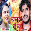 About Bhail Kaise Bade Bade Song