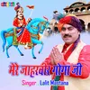 About Mere Jahar Veer Goga Ji Song