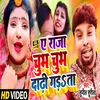Ae Raja Chubh Chubh Dhadhi Garata Bhojpuri Song