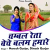 About Chambal Reta Beche Balam Hamare Hindi Song