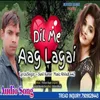 About Dil Me Aag Lagaye hindi Songs Song