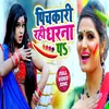 About Pichkari Rahi Dharana Pa Holi Song Song