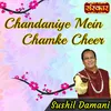 About Chandaniye Mein Chamke Cheer Song