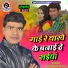 About Mai Re Yaarwe Ke Banai De Saiyan Bhojpuri Song