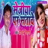 About Sejiya Par Satave Song