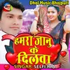 About Hamra Janu Ke Dilwa Bhojpuri Song