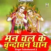 About Man Chal Re Vrndavan Dham Hindi Song