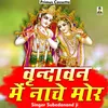 About Vrndavan Mein Nache Mor Hindi Song