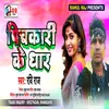 About Pichakari Ke Dhar Song