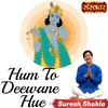 About Hum To Deewane Hue Song