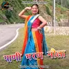 About Pani Bharan Naula Pahadi Song