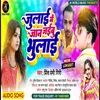 About Julae Mein Jaan Jaebo Bhulae Song