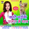 About Katai Gaini Usra Me Dhan Bhojpuri Song