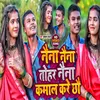 About Naina Kamal Karai Chhau maithili Song