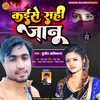 About Kaise Se Sahi Janu Bhojpuri Song